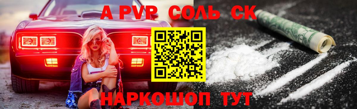 Alfa_PVP СК Новороссийск