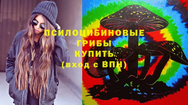 дмт Липки