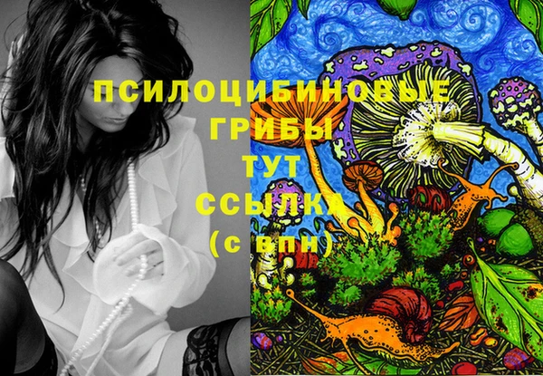 дмт Липки