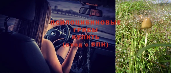 apvp Лихославль