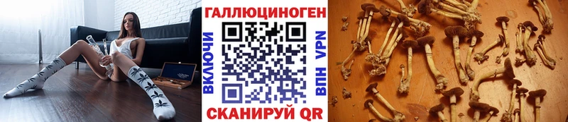 Галлюциногенные грибы мухоморы Новороссийск