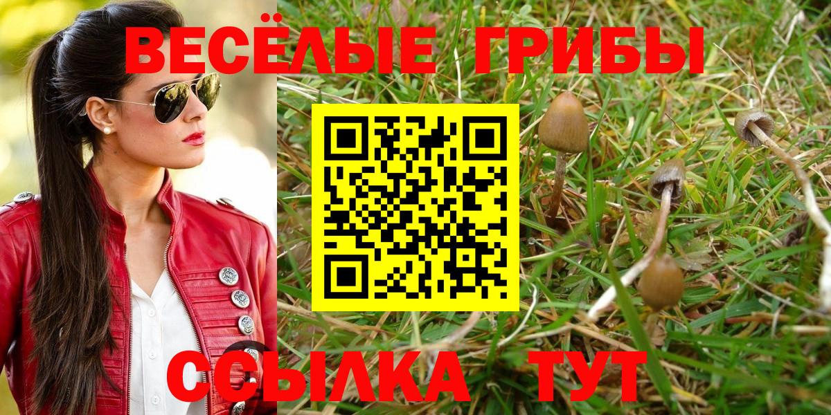 Новороссийск  Галлюциногенные грибы GOLDEN TEACHER  Вход с VPN 