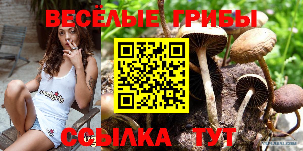Галлюциногенные грибы Magic Shrooms Новороссийск
