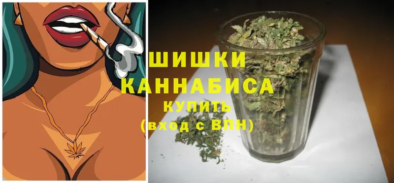 OMG как войти  Новороссийск  Каннабис Amnesia  цены  